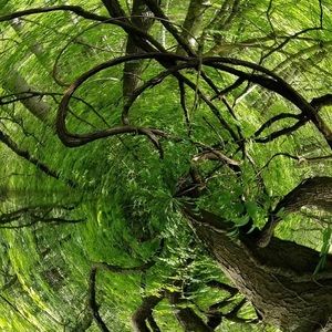 Meet your Posher, Hunter